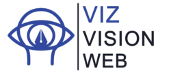 vizvisionweb.com