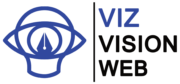 Vizvisionweb